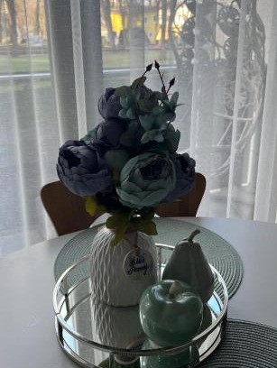 Druskininkai Apartamento | Blue Peony
