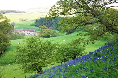 Urra Casa | Bluebells Cottage