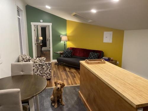 Golden Casa | Bluebird Nest