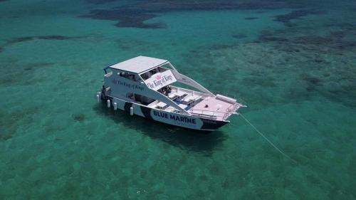 Punta Cana Alquiler De Eote | Bluee Marine