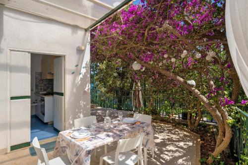 Erchie Casa | Bluegreen 2 Apartments Amalfi Coast