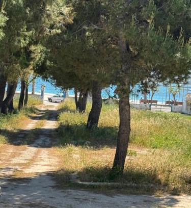 Torre Canne Casa | BlueLoft TorreCanne