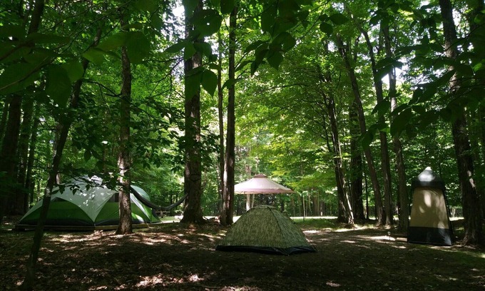 Wellsville Alquiler De RV | BlueMoon - quiet, private, secluded