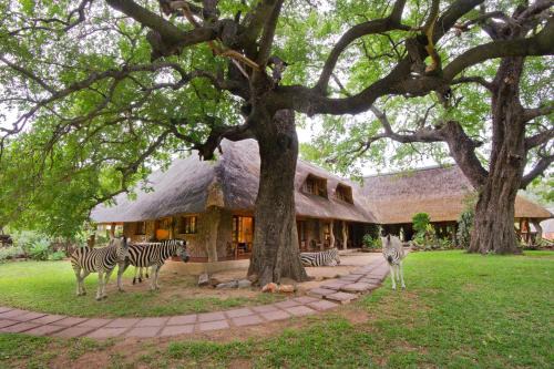 Hoedspruit Casa | Blyde River Canyon Lodge
