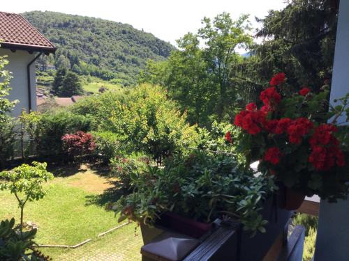 Ravina Cama Y Desayuno | BnB Trento