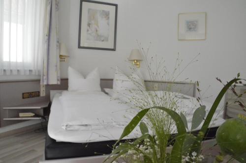 Coburg Casa | Boardinghaus zu Coburg