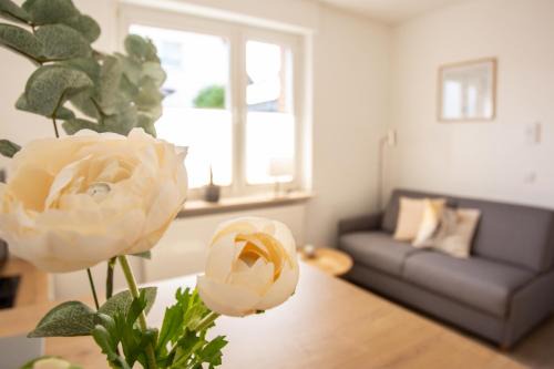 Georgsmarienhuette Apartamento | boardinghouse44