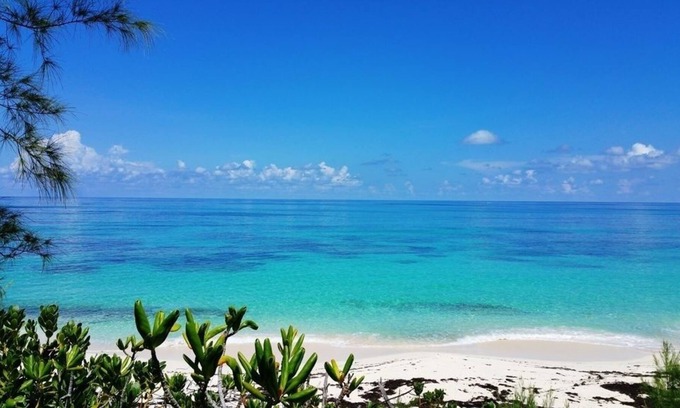 North Palmetto Point Cabaña | Boathouse La Bougainvillea 1 Bedroom Cottage