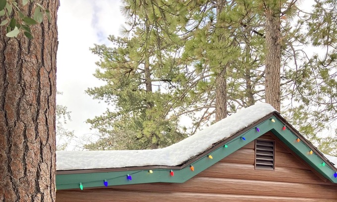 Pine Cove Apartamento | Bob Ross Cabin