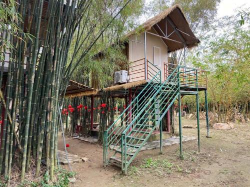 Dien Ban Otro | Bobo Glamping 2