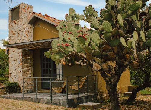 Ezequiel Montes Complejo | Bodegas Vaivén Hotel Boutique