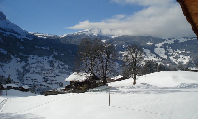 Grindelwald Hotel | Bodmi