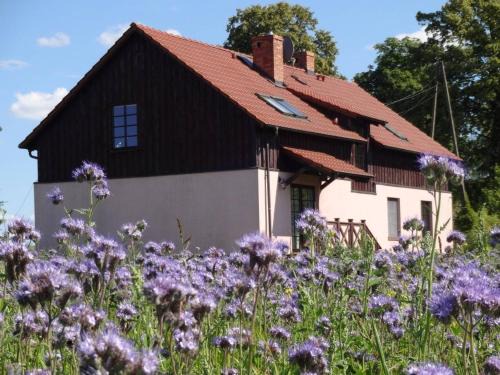 Bogacko Casa | Bogacko - Mazurskie Gospodarstwo Agroturystyczne - pokoje gościnne