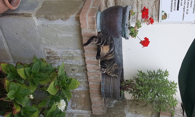 Barberino di Mugello Condominio | Alquiler de apartamento en Borgo la Fratta