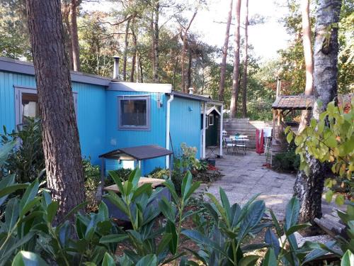 Bosgebied Hoenderloo Casa | Boshuis Turquoise/smaakvol genieten op de Veluwe