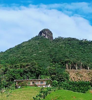 San Carlos Casa | Bosque Místico