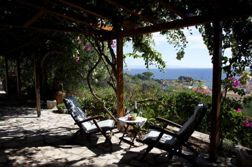 Gaios Casa | Bougainvillea