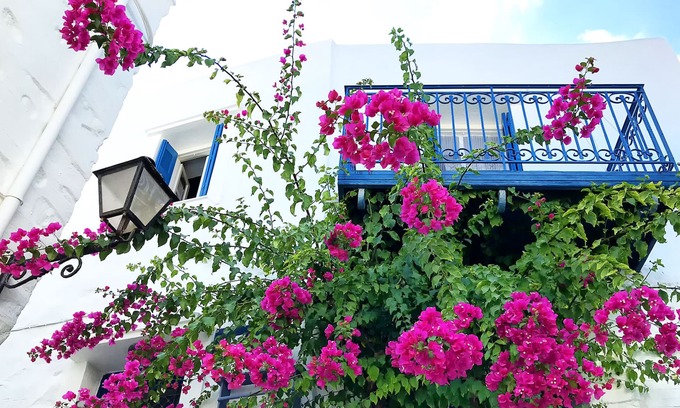 Ano Siros Casa | Βougainvillea House
