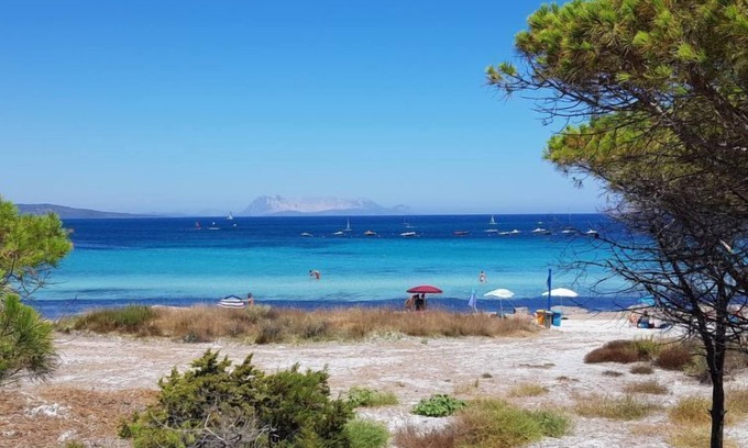 Tanaunella Apartamento | Apartamento Bouganvillage en Budoni - 4 personas, 1 dormitorios