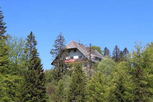 Feldberg Hotel | Boutique Hotel Kokoschinski