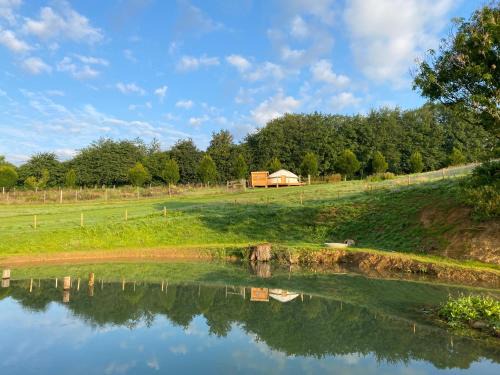 Bridport Otro | Bracken Yurt at Walnut Farm Glamping