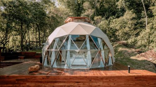 Paraisopolis Cabina | Brakiarias Home