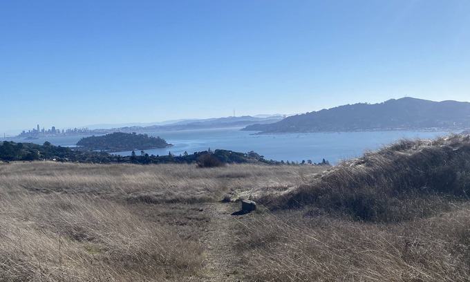 Corte Madera Cabaña | Brand new, 1 bedroom cottage with view of San Francisco Bay.