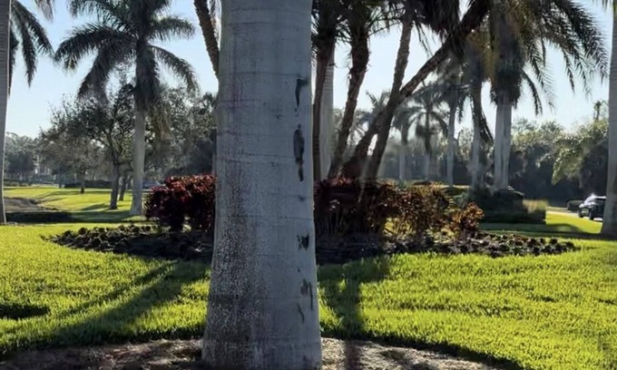 Punta Gorda Condominio | Brand new 2-bedroom condo Newly furnished with fitness center, pools, etc