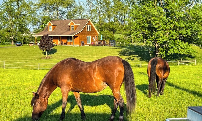 West Milton Casa | BRAND NEW! Modern Tiny House @ The Horse Stables