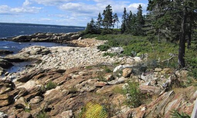Newagen Cabina | Cabaña Sprucerock - Escape a los sonidos del mar y vistas impresionantes