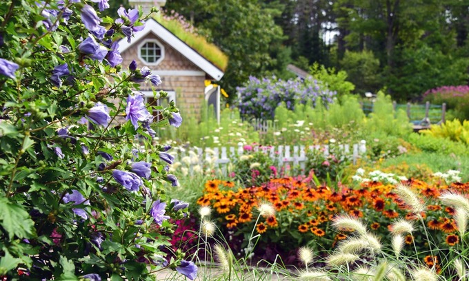 Freeport Cama Y Desayuno | Brewster House Bed & Breakfast