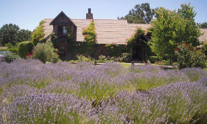 Templeton Casa | Briarwood Cottage is a four-bedroom, idyllic getaway on the ONX Estate Vineyard!