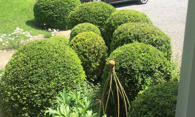 Bridgehampton Cabaña | Bridgehampton South Garden Cottage