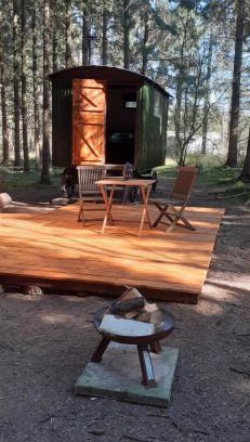 Middlemarsh Otro | Bridgewood Camping - Traditional Shepherd's Hut