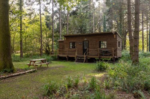 Middlemarsh Otro | Bridgewood Camping - CABIN