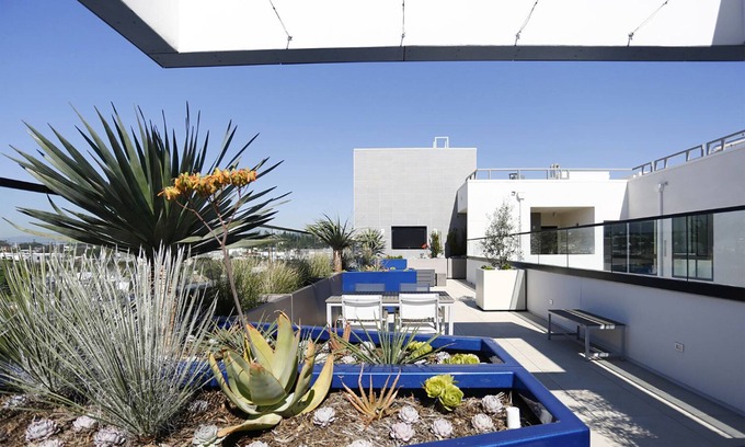 Palms Apartamento | Bright Culver City 1BR w/ Gym & Roof Terrace, nr 405, by Blueground