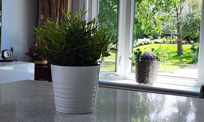 Woburn Casa | Bright Newly Renovated Oasis, Centrally located, 5 mins from the beach