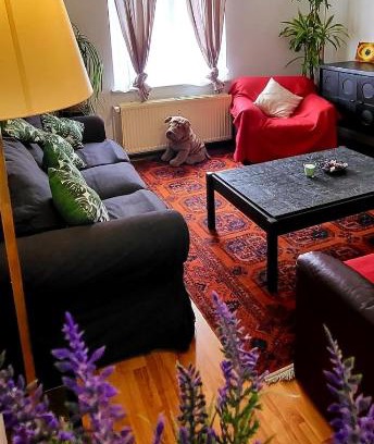 Helmet Apartamento | Bright studio close to Zaventem airport