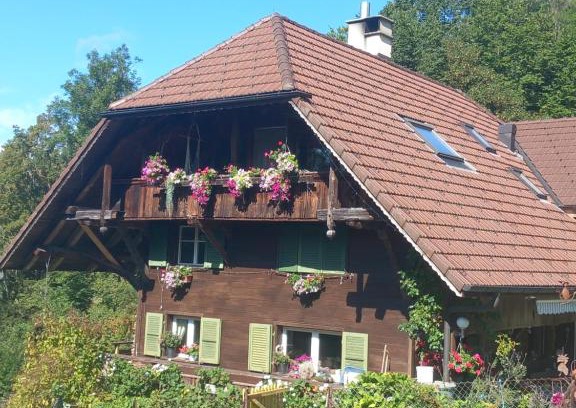 Diessbach Apartamento | Bright, sunny holiday apartment on the farm