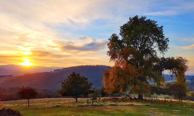Snowy Valleys Council Otro | Brindabella Farmstay