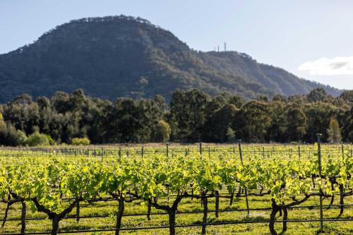 Pokolbin Casa | Brokenback Vineyard Cottage