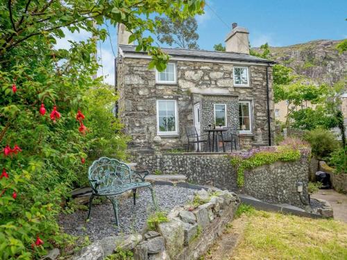 Manod Casa | Brondderwen