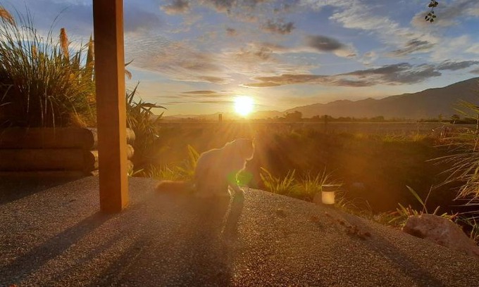 Kaikoura Cama Y Desayuno | Brook House B&B & Cottages