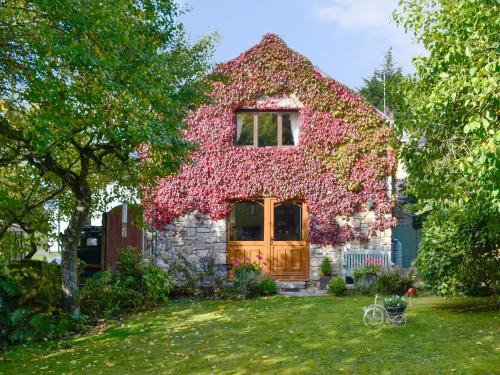 Mold Casa | Bryn Dedwydd Cottage