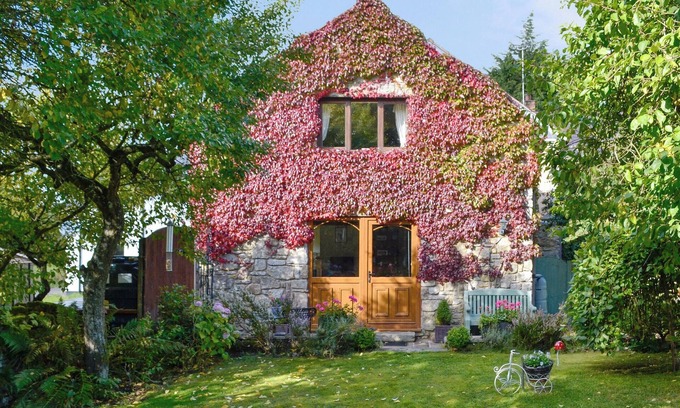 Mold Cabaña | Bryn Dedwydd Cottage