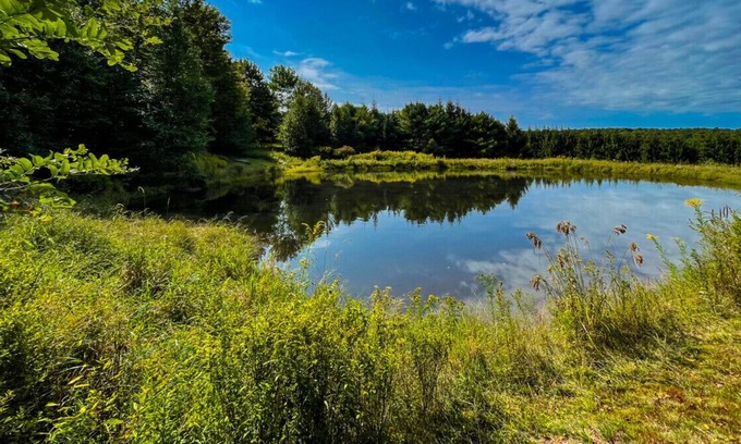Bloomville Casa | Bucolic 3BR home with Guest Cabin and Pond on 20+ Acres of Sublime Privacy