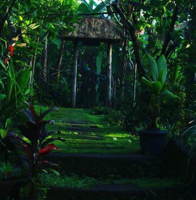 Payangan Casa | bucu hidden guest house, and meditation center