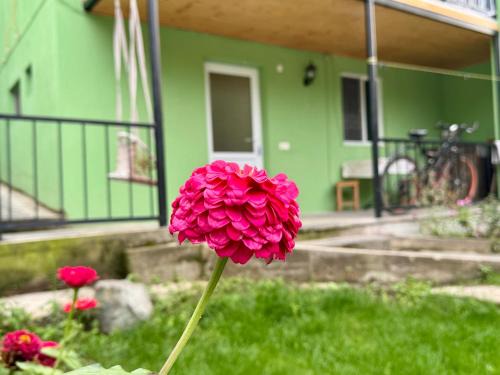 Akhali Ubani Apartamento | Buddy Apartment Borjomi