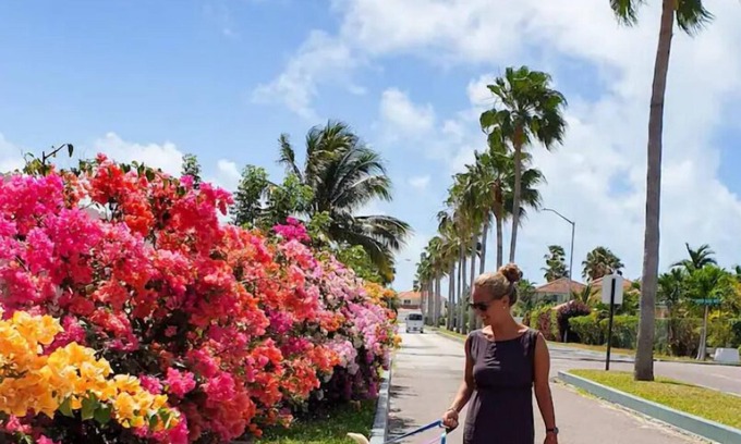 Nassau Casa | La casita para viajeros Solo