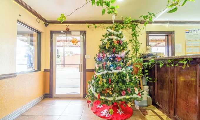 Edinburg Hotel | Budget Inn By OYO Edinburg Hwy 281